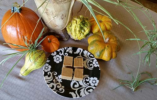 Fudge SpiderPl and gourds